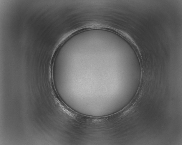 X0000053010839200507081019