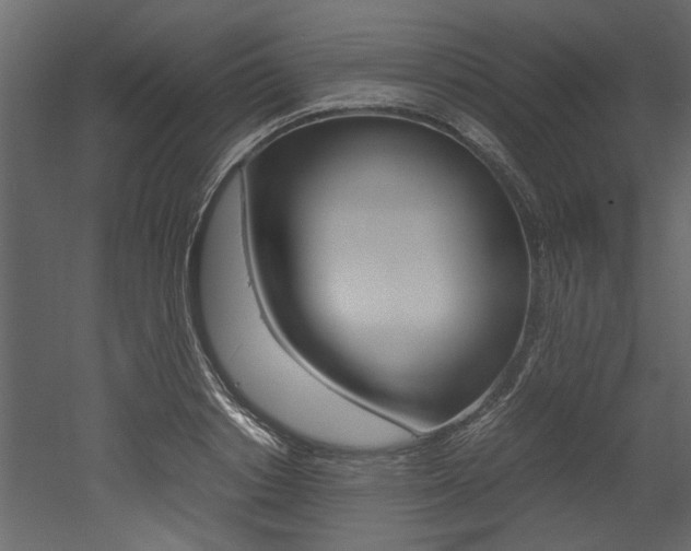 X0000053010842200507081019
