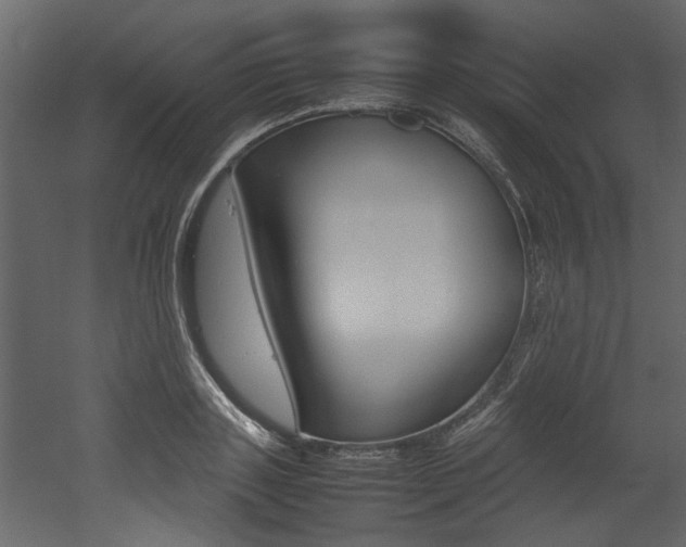 X0000053010843200507081019