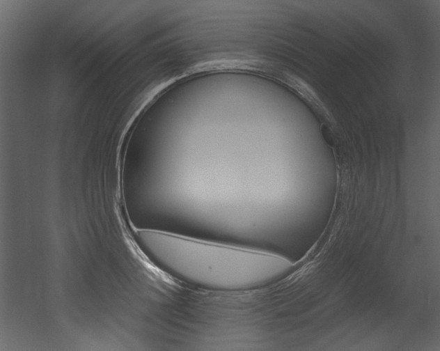 X0000053010844200507081019