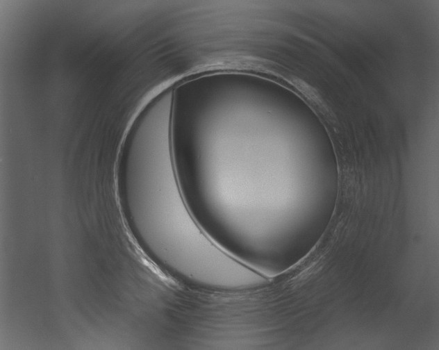 X0000053010846200507081019