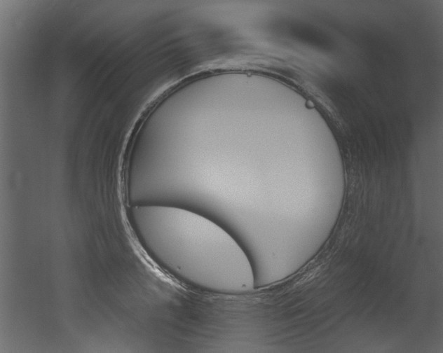 X0000053010848200507081019