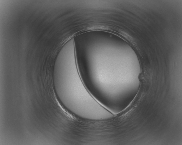 X0000053010849200507081019