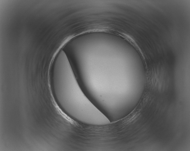 X0000053010851200507081019