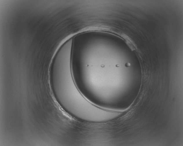 X0000053010854200507081019