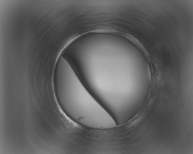X0000053010855200507081019
