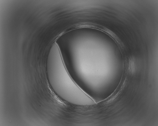 X0000053010857200507081019