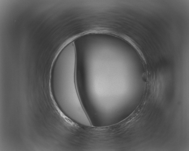 X0000053010861200507081019