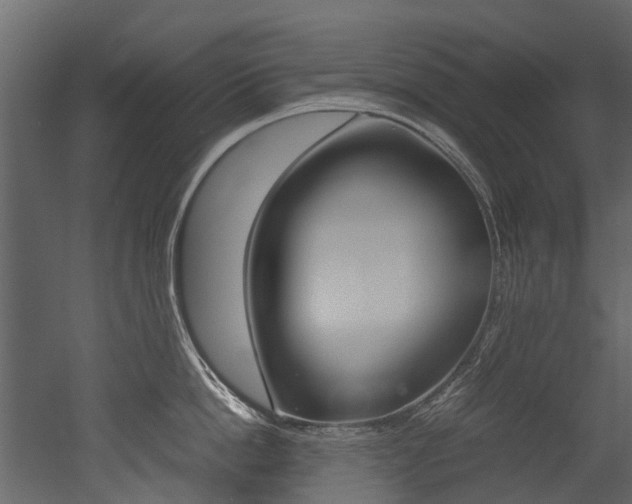 X0000053010862200507081019