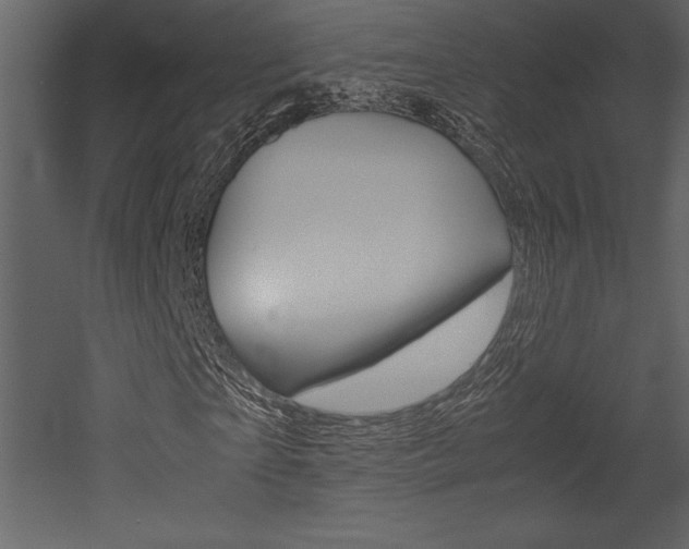 X0000053010865200507081019