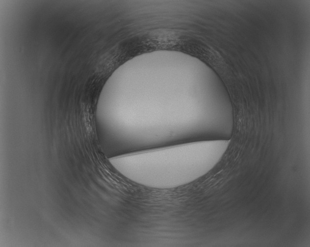 X0000053010866200507081019