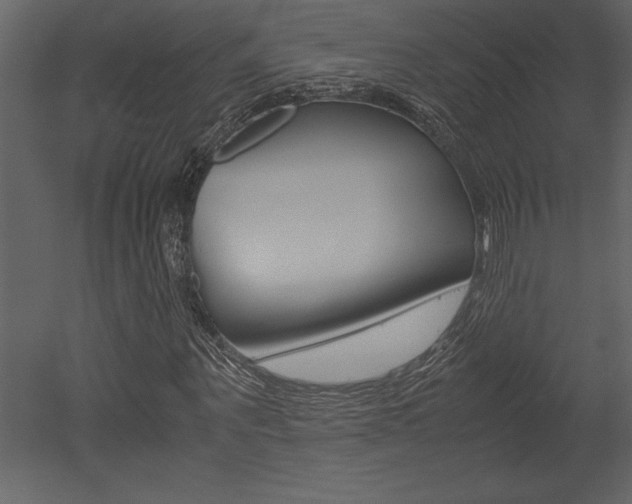 X0000053010867200507081019