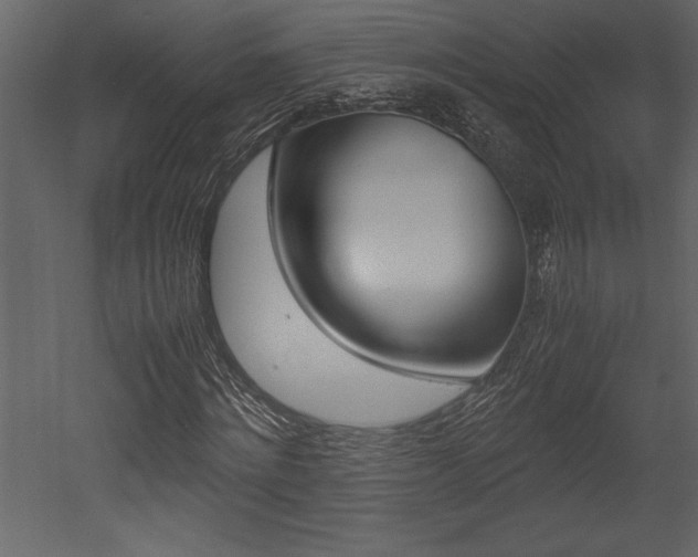 X0000053010868200507081019