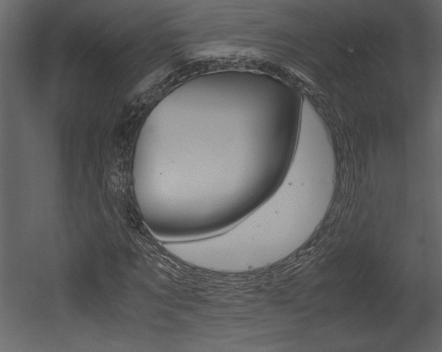 X0000053010869200507081019