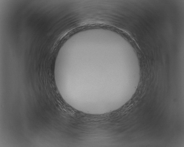 X0000053010871200507081019