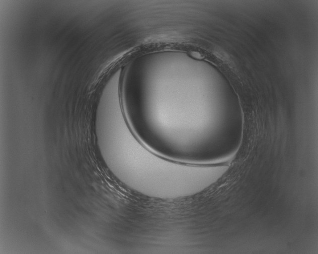 X0000053010872200507081019