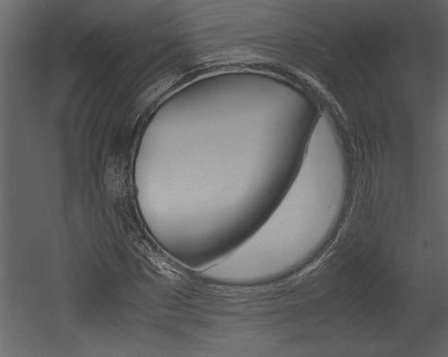 X0000053010873200507081019