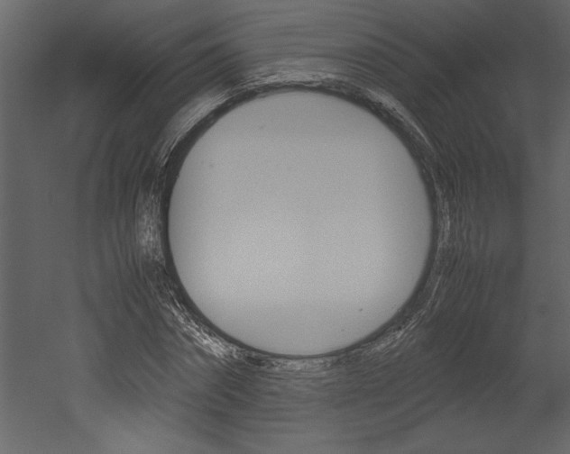 X0000053010874200507081019