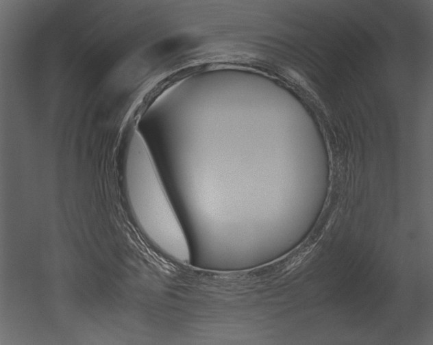 X0000053010875200507081019