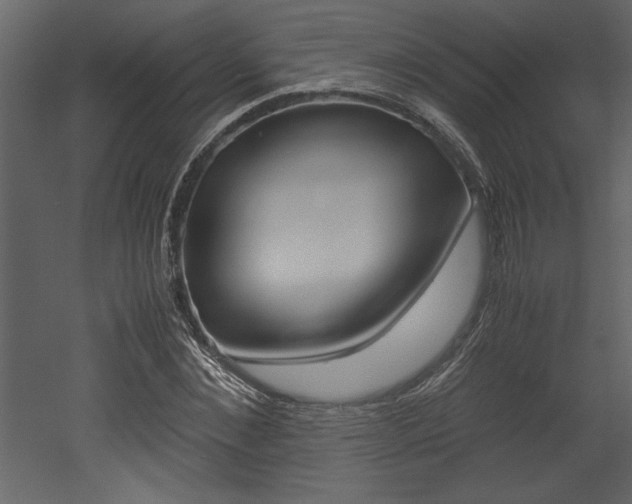X0000053010876200507081019