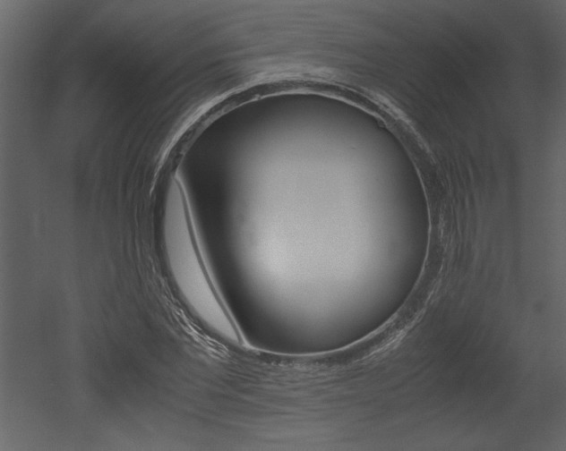 X0000053010877200507081019