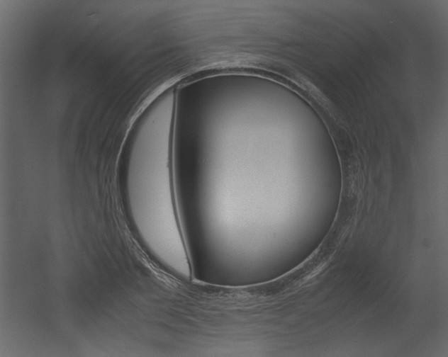 X0000053010885200507081018