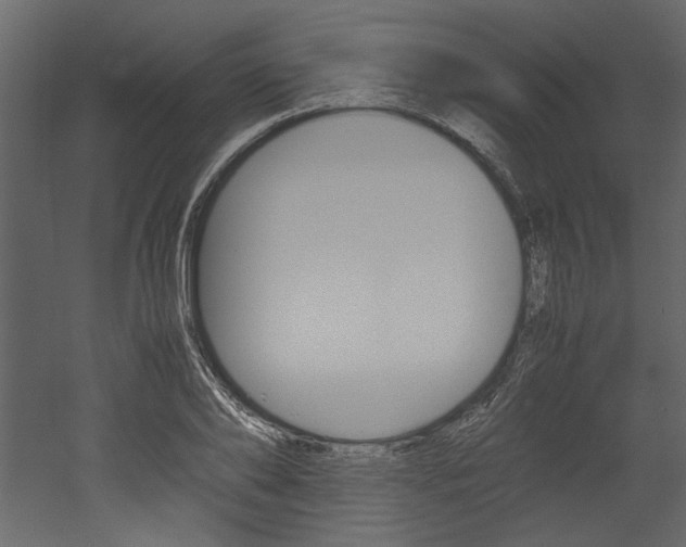 X0000053010886200507081018