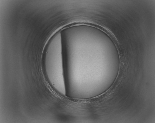 X0000053010887200507081018