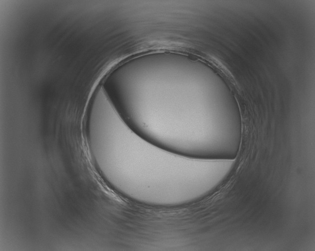 X0000053010891200507081018