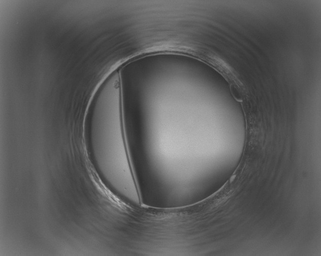 X0000053010892200507081018