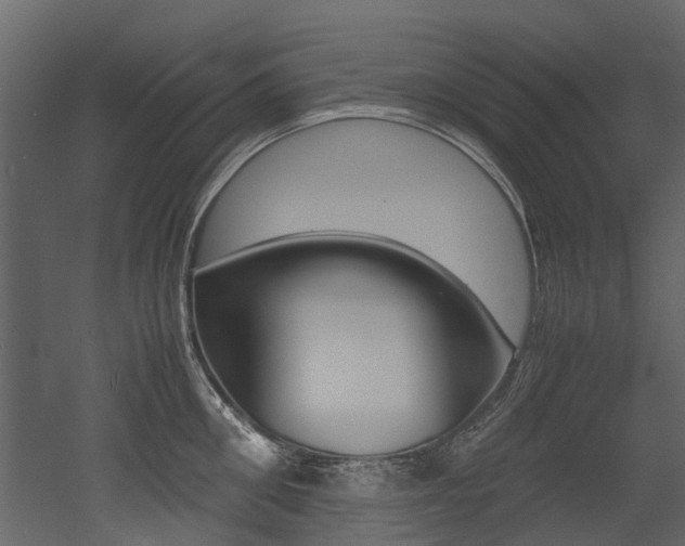 X0000053010906200507081018