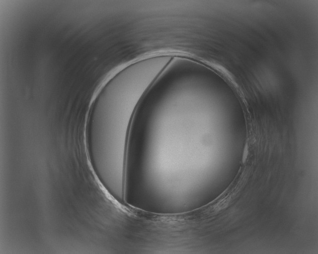 X0000053010910200507081018