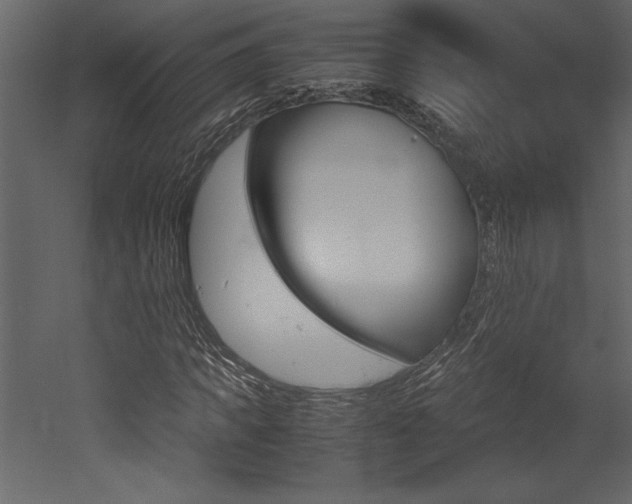 X0000053010917200507081017
