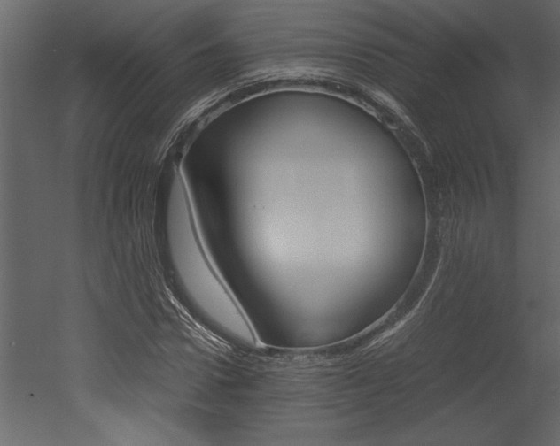 X0000053010922200507081017