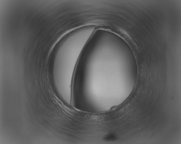 X0000053010923200507081017
