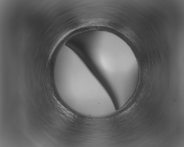X0000053010926200507081017