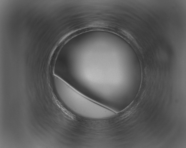 X0000053010931200507081017