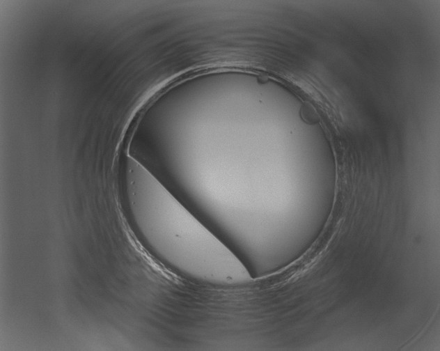 X0000053010933200507081017