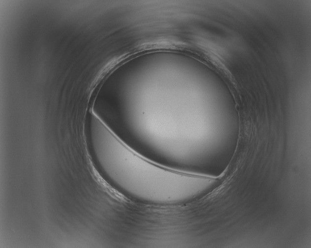 X0000053010938200507081018