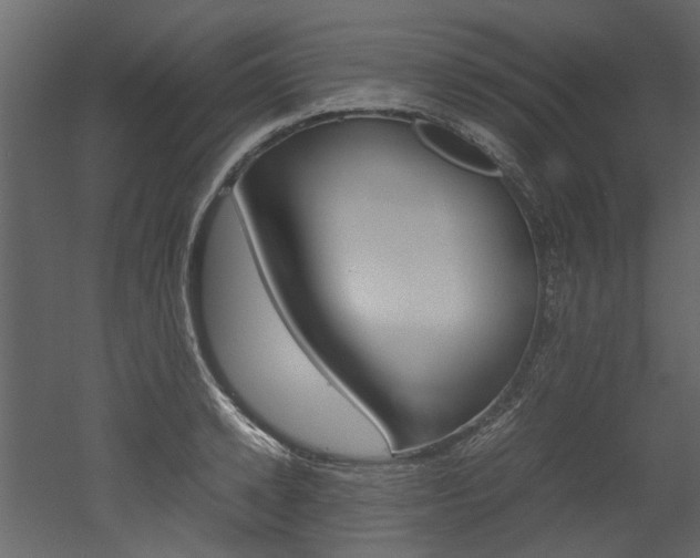 X0000053010942200507081018