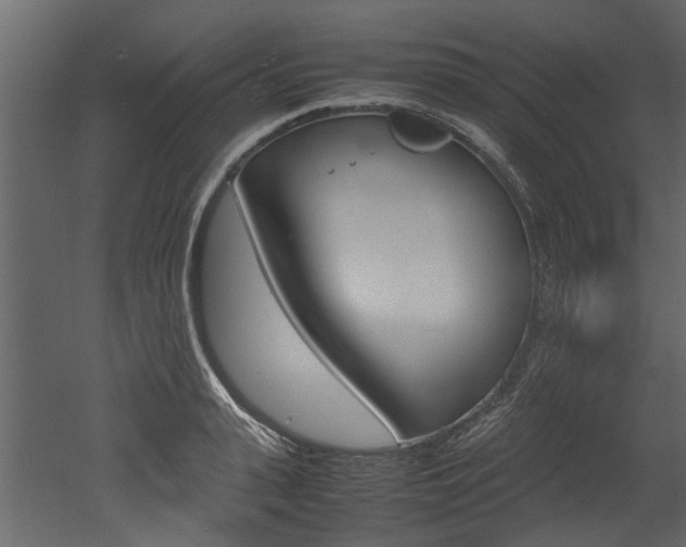 X0000053010943200507081018