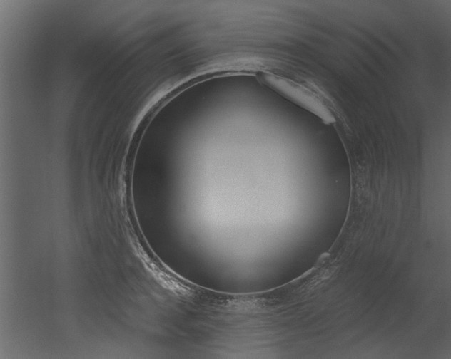 X0000053010944200507081018