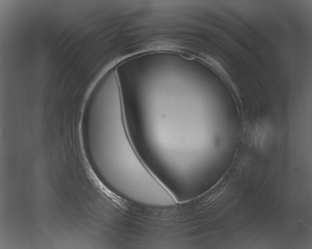 X0000053010947200507081018