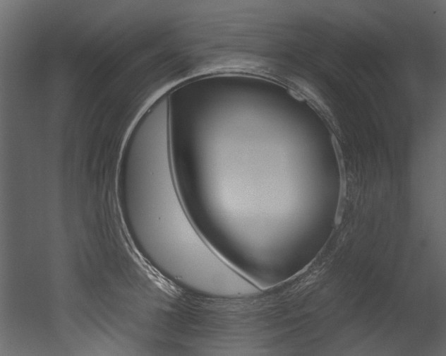 X0000053010948200507081018