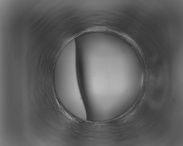 X0000053010953200507081018
