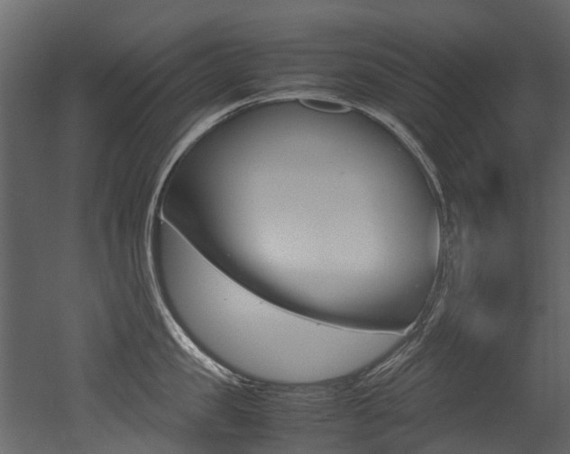 X0000053010957200507081018