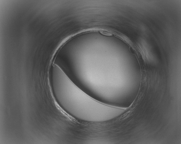 X0000053010958200507081018