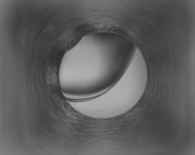 X0000053010963200507081017