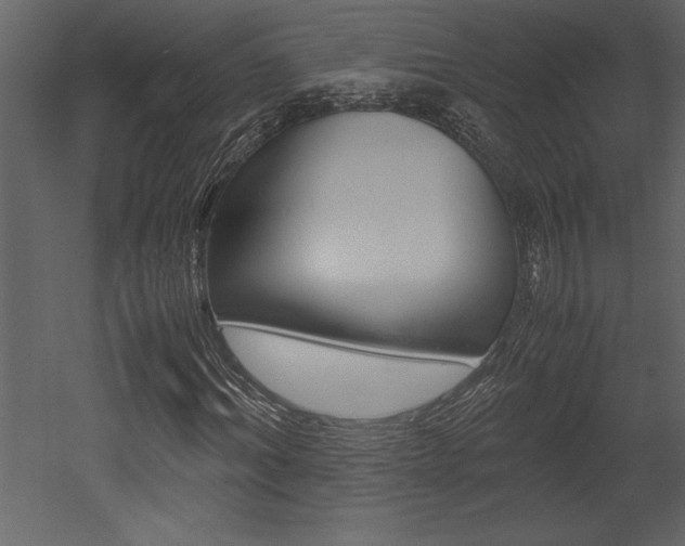 X0000053010964200507081017