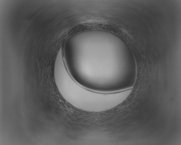 X0000053010965200507081017